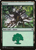 Image for Forest (040) (40) (Zendikar vs. Eldrazi) - Magic: The Gathering
