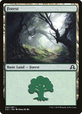Image for Forest (295) (295) (Shadows over Innistrad) - Magic: The Gathering