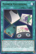 Image for Flower Gathering (DRL3-EN040) (DRL3) - YuGiOh