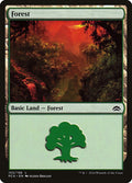 Image for Forest (153) (153) (Planechase Anthology) - Magic: The Gathering