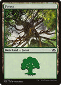 Image for Forest (155) (155) (Planechase Anthology) - Magic: The Gathering