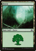 Image for Forest (156) (156) (Planechase Anthology) - Magic: The Gathering