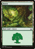 Image for Forest (064) (64) (Mind vs. Might) - Magic: The Gathering