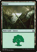 Image for Forest (315) (315) (Commander Anthology) - Magic: The Gathering