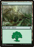 Image for Forest (316) (316) (Commander Anthology) - Magic: The Gathering