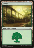 Image for Forest (101) (101) (Nicol Bolas) - Magic: The Gathering