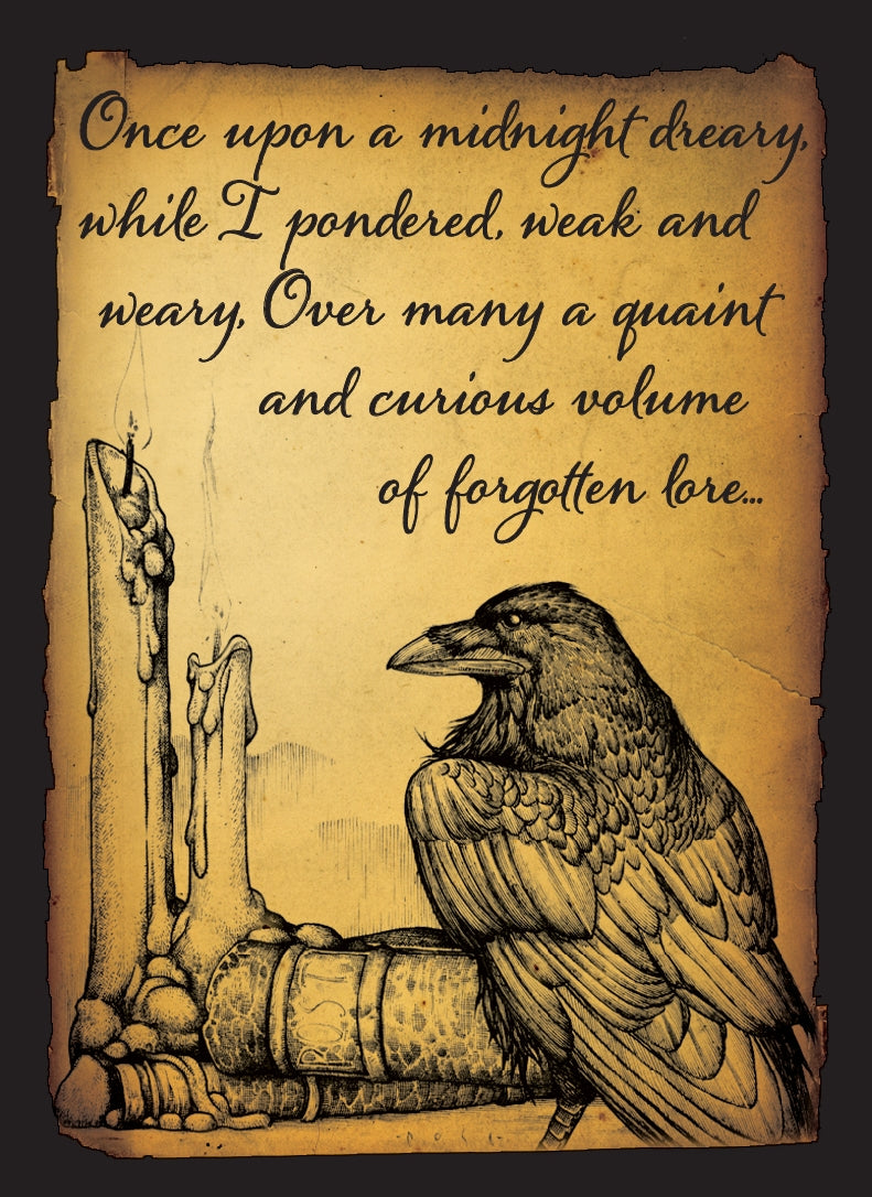 Image for Double Matte Art Sleeve - Raven (50-Pack) - Card Sleeves