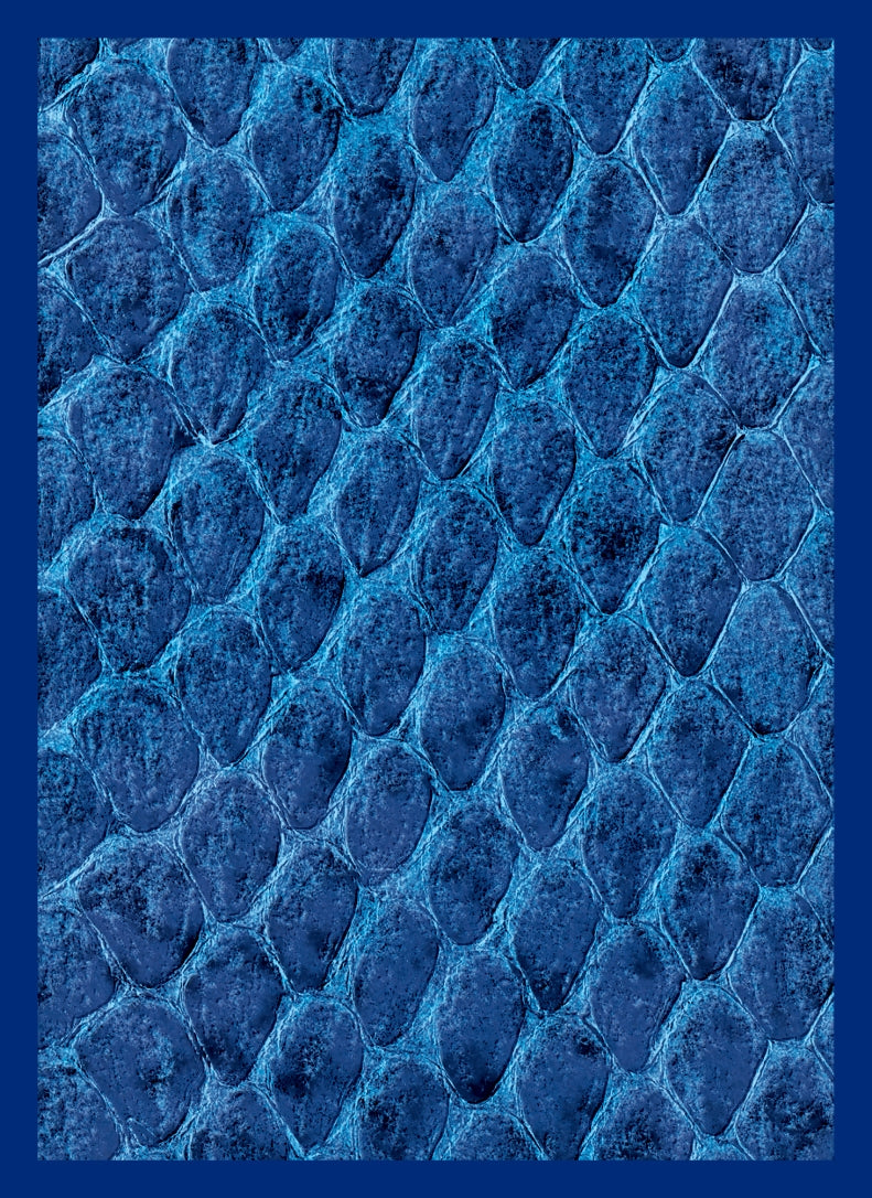 Image for Gloss Sleeve - Dragon Hide Blue (50-Pack) - Card Sleeves
