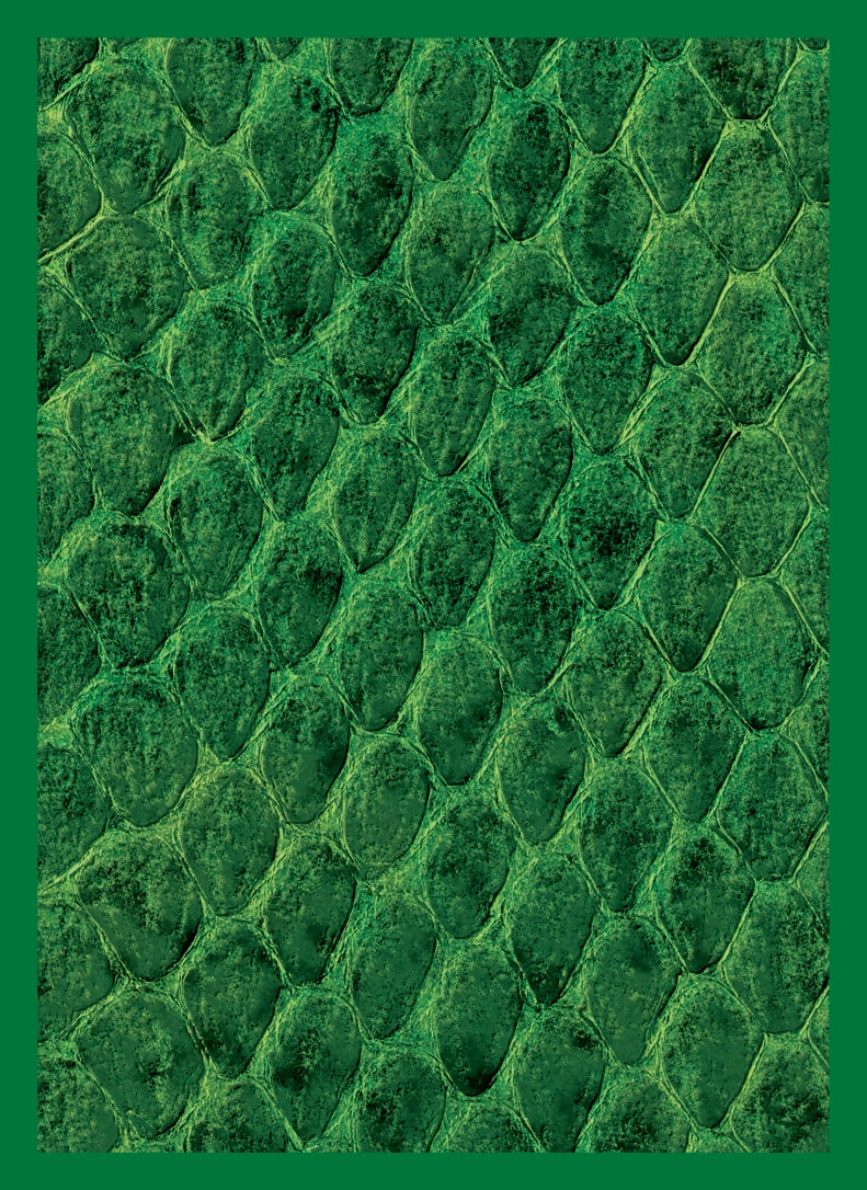 Image for Gloss Sleeve - Dragon Hide Green (50-Pack) - Card Sleeves