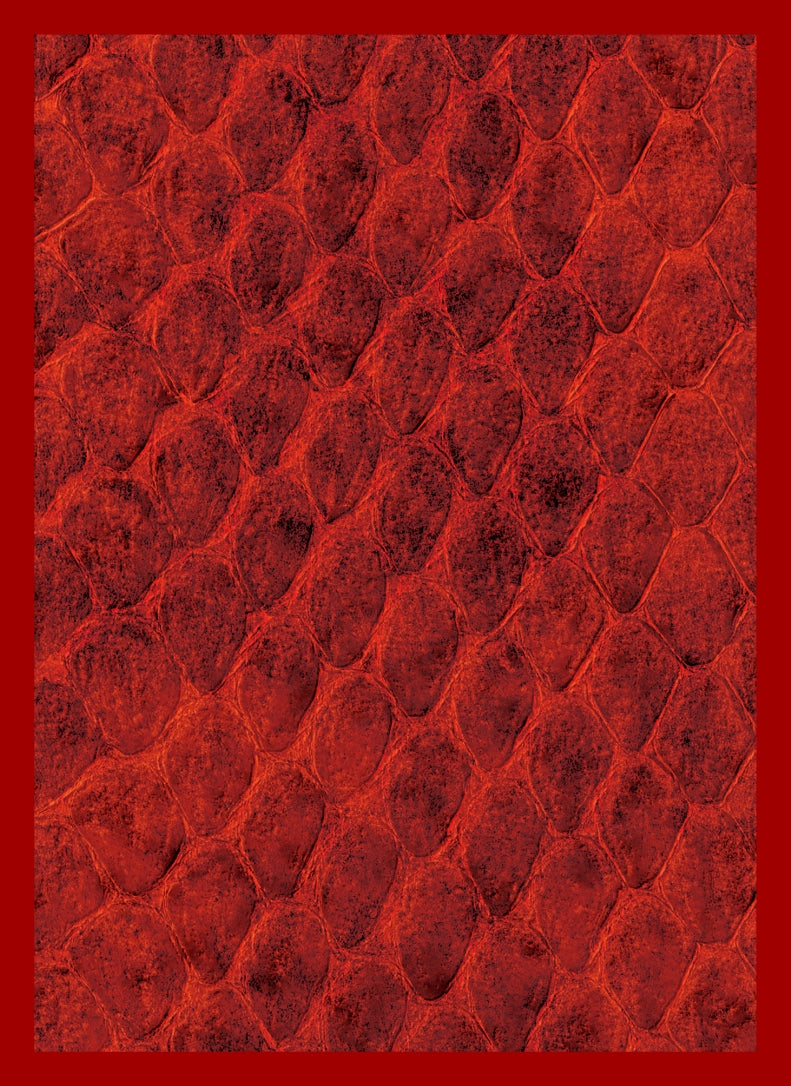 Image for Gloss Sleeve - Dragon Hide Red (50-Pack) - Card Sleeves