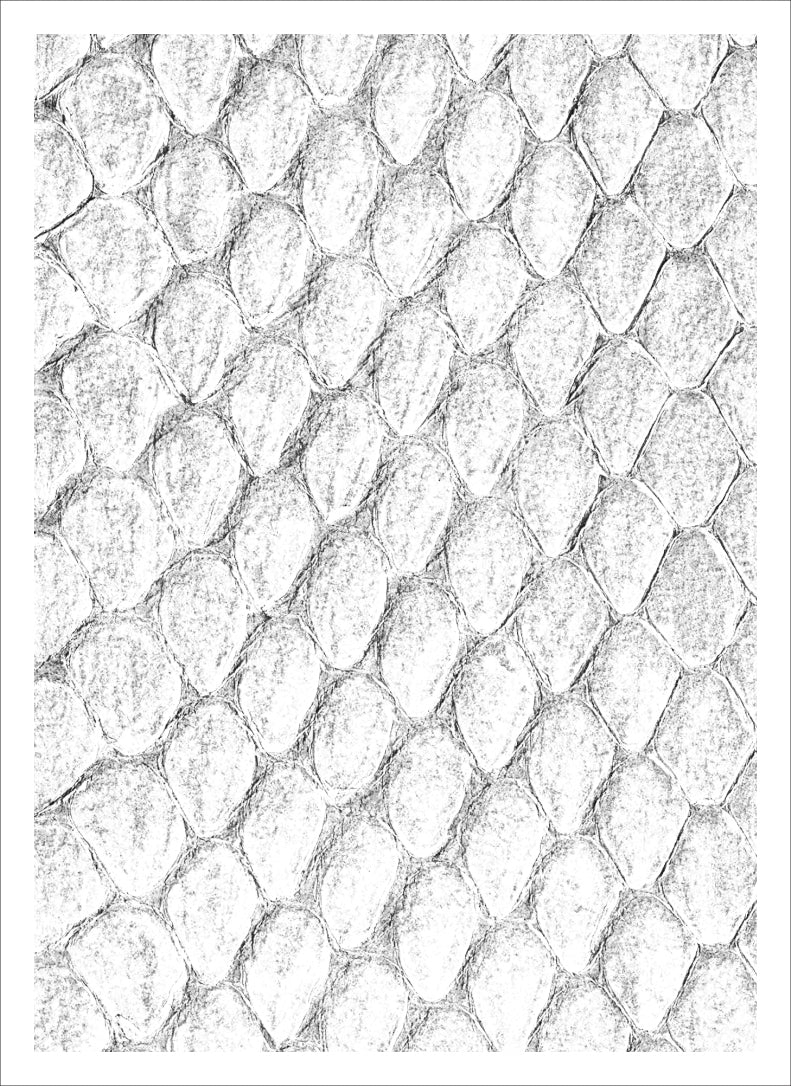Image for Gloss Sleeve - Dragon Hide White (50-Pack) - Card Sleeves