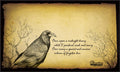Image for Fibersoft Playmat - Raven - Playmats
