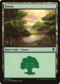 Image for Forest (307) (307) (Commander 2017) - Magic: The Gathering