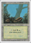 Image for Forest (A) (284) (Revised Edition) - Magic: The Gathering