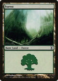 Image for Forest (301) (301) (Time Spiral) - Magic: The Gathering