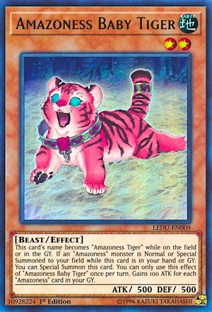 Image for Amazoness Baby Tiger (LEDU-EN009) (LEDU) - YuGiOh
