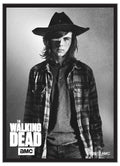 Image for The Walking Dead Deck Protector Sleeves - Carl (50-Pack) - Card Sleeves