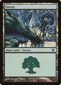 Image for Forest (380) (380) (10th Edition) - Magic: The Gathering
