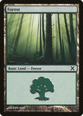 Image for Forest (381) (381) (10th Edition) - Magic: The Gathering