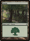 Image for Forest (301) (301) (Lorwyn) - Magic: The Gathering