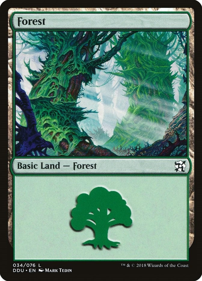 Image for Forest (034) (34) (Elves vs. Inventors) - Magic: The Gathering