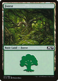 Image for Forest (277) (277) (Core Set 2019) - Magic: The Gathering