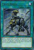 Image for Cross Breed (CYHO-EN066) (CYHO) - YuGiOh