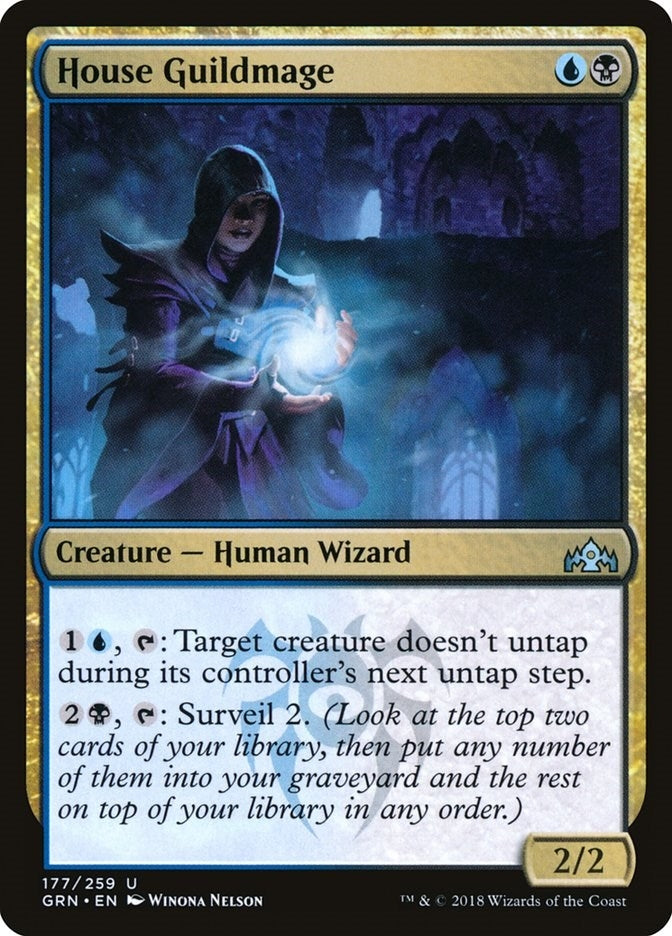 Image for House Guildmage (177) (Guilds of Ravnica) - Magic: The Gathering