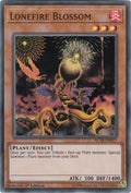 Image for Lonefire Blossom (AC18-EN017) (AC18) - YuGiOh