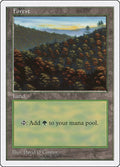 Image for Forest (448) (448) (Fifth Edition) - Magic: The Gathering