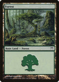 Image for Forest (304) (304) (Champions of Kamigawa) - Magic: The Gathering