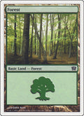 Image for Forest (349) (349) (9th Edition) - Magic: The Gathering