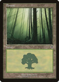 Image for Forest (347) (347) (Invasion) - Magic: The Gathering