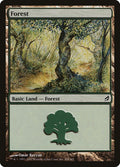 Image for Forest (298) (298) (Lorwyn) - Magic: The Gathering