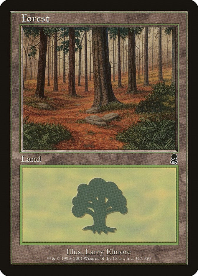 Image for Forest (347) (347) (Odyssey) - Magic: The Gathering