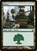 Image for Forest (304) (304) (Ravnica: City of Guilds) - Magic: The Gathering