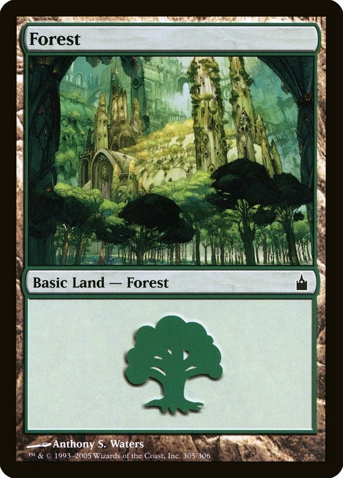 Image for Forest (305) (305) (Ravnica: City of Guilds) - Magic: The Gathering