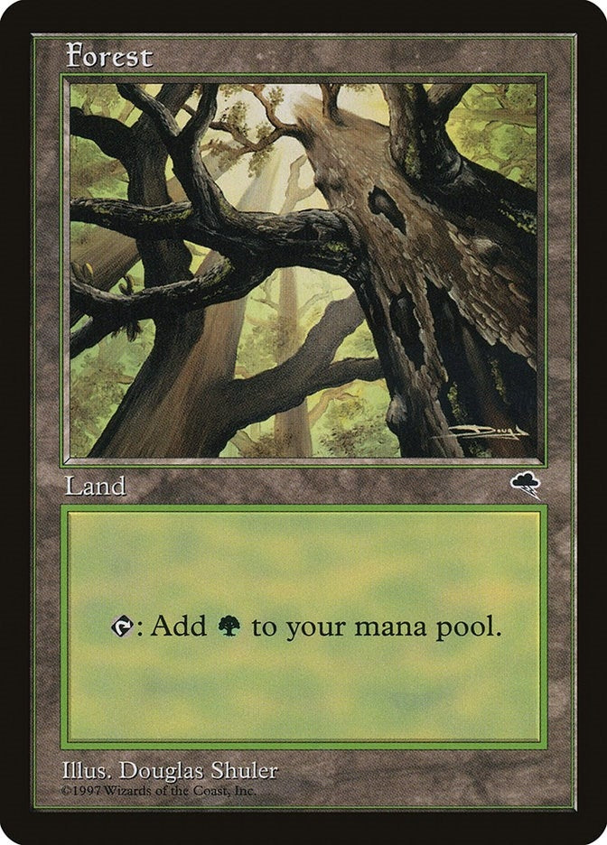 Image for Forest (Skyward) (347) (Tempest) - Magic: The Gathering