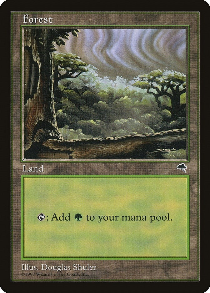 Image for Forest (Cloudy) (349) (Tempest) - Magic: The Gathering
