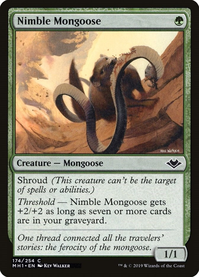 Image for Nimble Mongoose (174) (Modern Horizons) - Magic: The Gathering