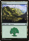 Image for Forest (300) (300) (Commander 2019) - Magic: The Gathering