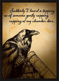 Image for Double Matte Art Sleeve - Raven 2019 (50-Pack) - Card Sleeves