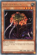 Image for Ibicella Lutea (IGAS-EN027) (IGAS) - YuGiOh