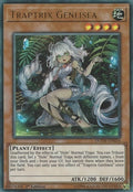 Image for Traptrix Genlisea (DUOV-EN054) (DUOV) - YuGiOh
