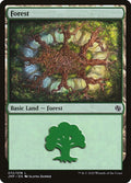 Image for Forest (072) (72) (Jumpstart) - Magic: The Gathering