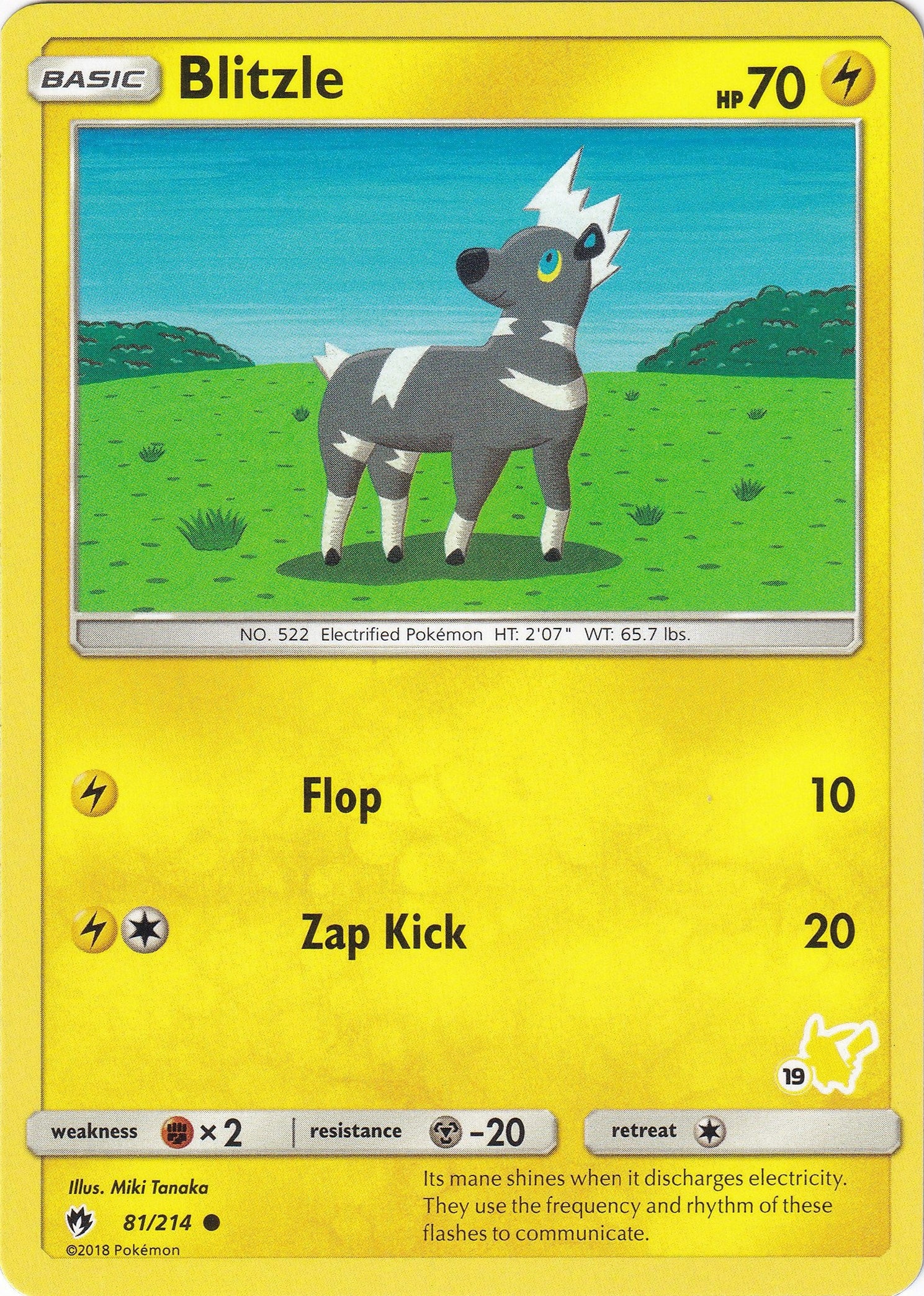 Image for Blitzle - 81/214 (#19 Pikachu Stamped) (081/214) (BTA) - Pokemon