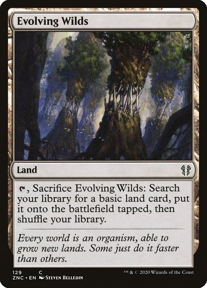Image for Evolving Wilds (129) (Zendikar Rising) - Magic: The Gathering