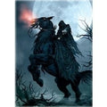 Image for Rider Card Sleeves - Standard (50-Pack) - Card Sleeves