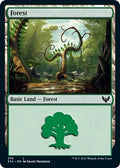 Image for Forest (374) (374) (Strixhaven: School of Mages) - Magic: The Gathering