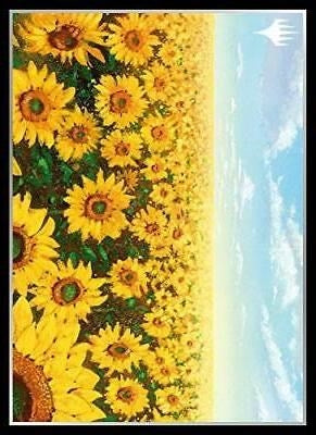 Image for Magic: The Gathering Player's Card Sleeve - APAC Land 1 Plains (80-Pack) - Card Sleeves